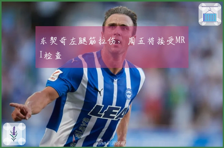 东契奇左腿筋拉伤，周五将接受MRI检查