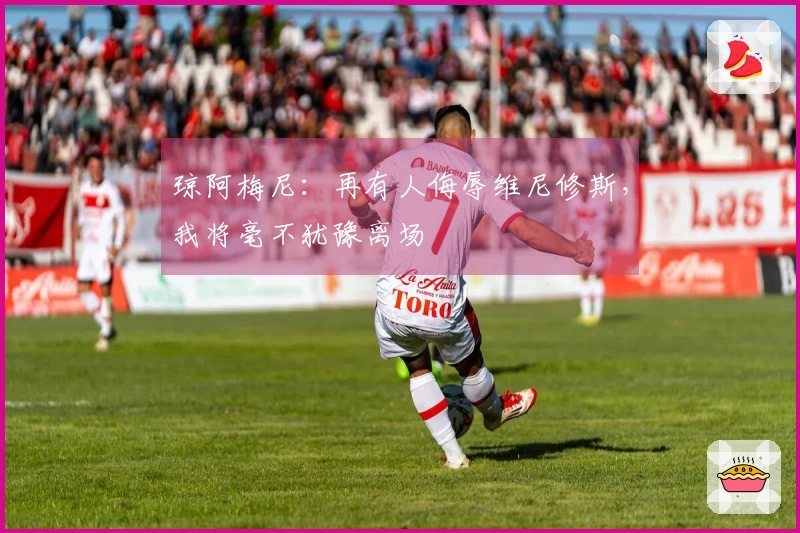 琼阿梅尼：再有人侮辱维尼修斯，我将毫不犹豫离场